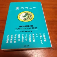 夏のカレー 現代の短篇小説 ベストコレクション2024