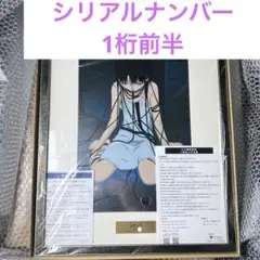 2025年最新】lain セル画の人気アイテム - メルカリ