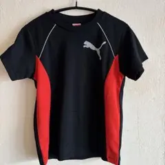 PUMA キッズTシャツ　130センチ