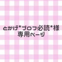 2026年最新】プロフ必読様専用の人気アイテム - メルカリ