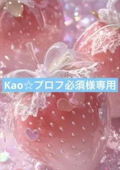 Kao☆プロフ必須様専用☺︎