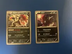 XYのノーマルゾロア、ゾロアーク2点セット