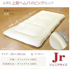 Item thumbnail for item 7ab51e66-e5bb-4490-92e3-7d53af8fc115