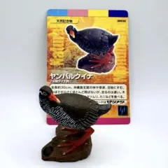 シソ様 リクエスト 2点 まとめ商品