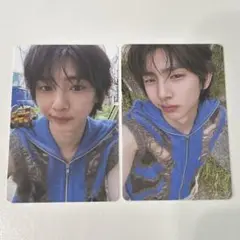 cortis weverse album 封入 コンプ ジュフン