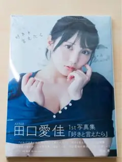 【応募券付き】田口愛佳 1st写真集 「好きと言えたら」