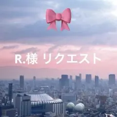 R.様 リクエスト 2点 まとめ商品