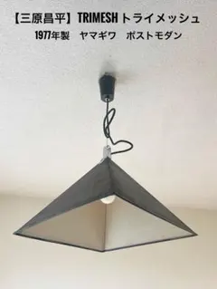 Item thumbnail for item 2dbbf71b-d7a4-4d9c-8e1d-1ee871be27cb