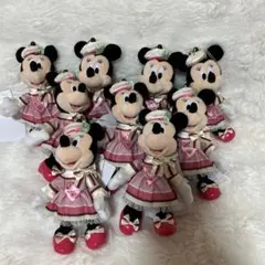 ディズニーランド　ヴァネロペ　パルパルーザ　ミニーちゃん　ぬいぐるみバッジ　新品