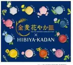 金麦　花やか皿 　５枚