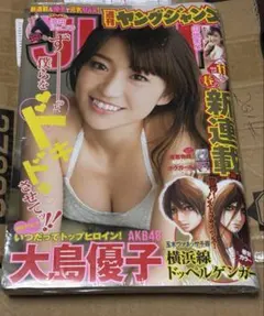 ヤングジャンプ 2014年　No.11 巻頭グラビア 大島優子　山地まり
