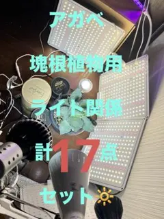용설란과 덩이줄기 실내 조명 클립, 패널 조명 등 17종 세트