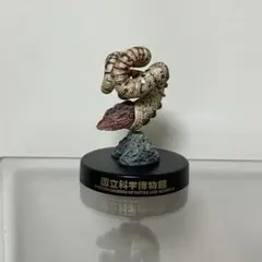 2025年最新】アンモナイト フィギュアの人気アイテム - メルカリ