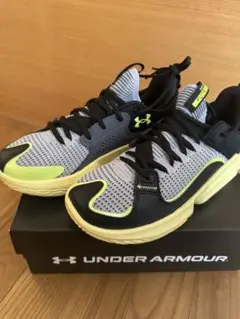 セール！UNDER ARMOUR UA FLOW FUTR X 3 25.5cm