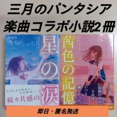 【初版あり帯付き】みのり 三月のパンタシア 楽曲コラボ小説 2冊セットまとめ売り