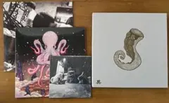ドミコ　『異』会場限定CD BOX