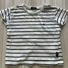 POLO半袖Tシャツ 120 ネイビー×ホワイト 綿100%