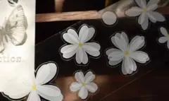 透白花集　PET 250円