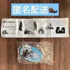 鳥羽水族館 キャラクターグッズ