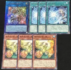 遊戯王　四花繚乱の霊使い　レリーフ　憑依共鳴　精霊術の使い魔　霊使い　7枚セット