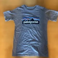 patagonia パタゴニア Tシャツ キッズXL （14) ￼￼のサムネイル