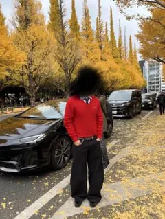 ラコステ ニット セーター ワニロゴ 美品 カジュアル 人気