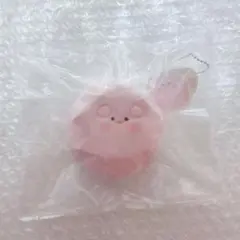 ブタ スクイーズ