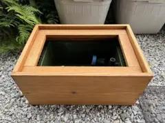 2026年最新】メダカ木枠の人気アイテム - メルカリ