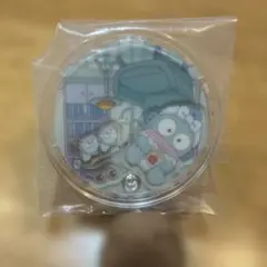 산리오 샤라 샤카 매력 구미 한교동