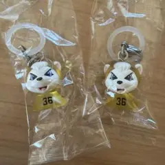 B.LEAGUEマスコット めじるしアクセサリー キーホルダー 36 サンディー