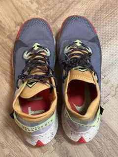 NIKE TRAIL PEGASUS GTX スニーカーのサムネイル