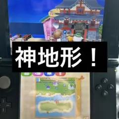 10 神地形　とびだせどうぶつの森　神データ金道具　無限フル　大量要望受付