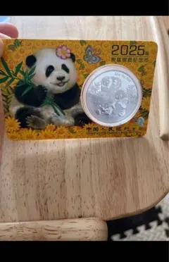 2025年最新】パンダ銀貨の人気アイテム - メルカリ