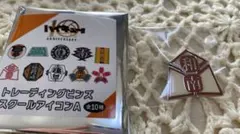 【ハイキュー!!】トレーディングピンズ スクールアイコンA 和久谷南