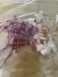 말린 꽃