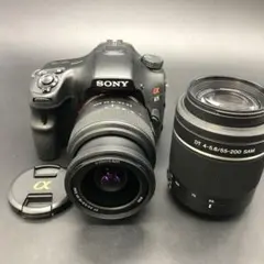 2025年最新】α65 レンズの人気アイテム - メルカリ