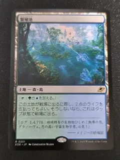 mtg 繁殖池　foil エクスペディション Foil】《繁殖池/Breeding Pool》[DIS] 土地R | 日本最大級 MTG通販