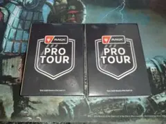 Magic: The Gathering PRO TOUR スリーブセット - メルカリ