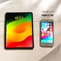 iPad Pro 12.9インチ第3世代 256GB(Wi-Fi + セルラー)