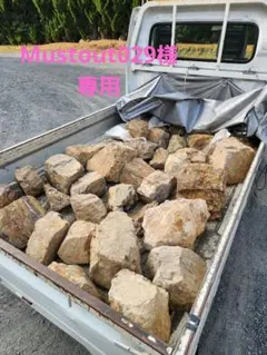 Mustout029様専用)　みかも石系(大きめ)　岐阜石系のサムネイル