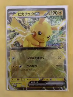 ポケモンスタンプラリー2025 台紙　ジャンボカード