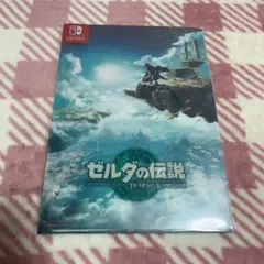 ゼルダの伝説 ティアーズ オブ ザ キングダム　クリアファイル