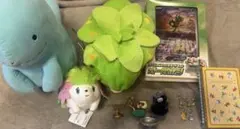 ポケモン セット