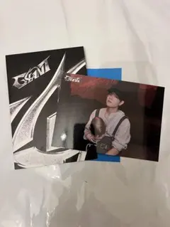 straykids GIANT フォトカード (スンミン)
