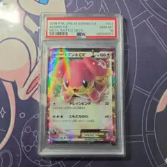 【PSA9 2枚】Mタブンネex、タブンネexを 2016 タブンネEX PSA 9 - カルドバ