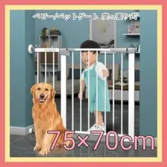 Item thumbnail for item b846a1fa-a470-4d7a-b033-3750b48cb419