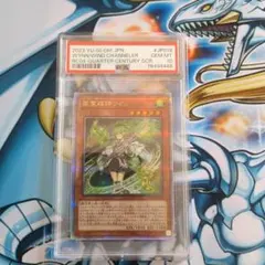 遊戯王　風霊媒師ウィン　25th PSA10 2025年最新】風霊媒師ウィン psa10の人気アイテム - メルカリ