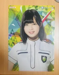 LOTTE XYLITOL クリアファイル 欅坂46のサムネイル