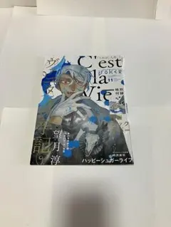 ヴァニタスの手記ガンガンジョーカー2019.11月号特製ブックカバー付き