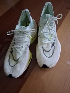 Item thumbnail for item 5a917d04-3367-491b-b600-a9b7cf59735b